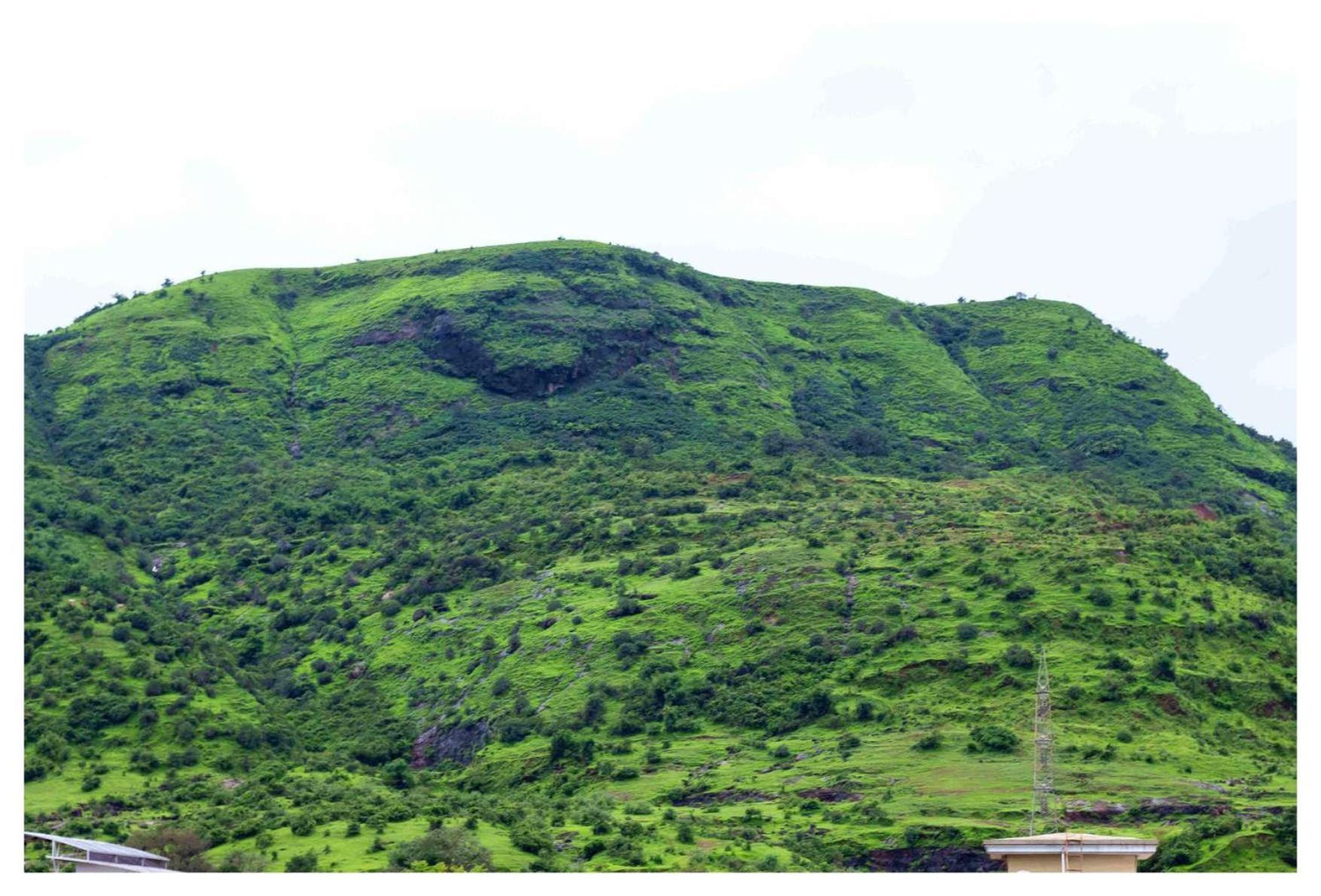 Salt Life Villa Lonavala Εξωτερικό φωτογραφία